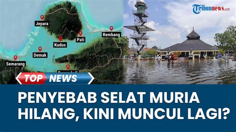 Penjelasan Penyebab Selat Muria Hilang Dan Kini Disebut Akan Muncul