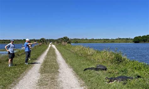 Circle B Bar Reserve In Lakeland Thrilling For Its Wildlife