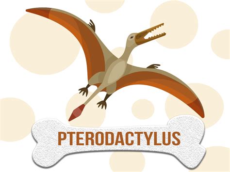 Dinosaurio Pterodactylus Caracter Sticas H Bitat Y Alimentaci N