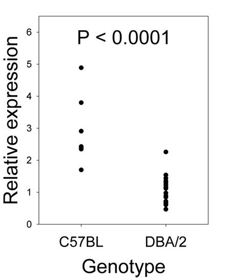 Effect Of QTL Genotype On Relative Expression Levels Of Placental