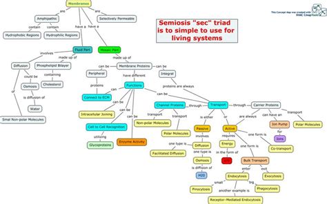 Cell Membrane Transport Concept Map