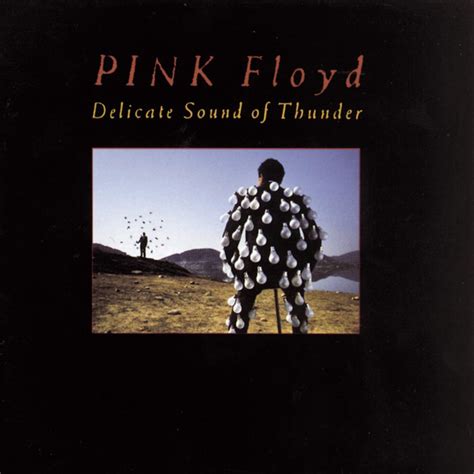 Delicate Sound Of Thunder Amazon Co Uk