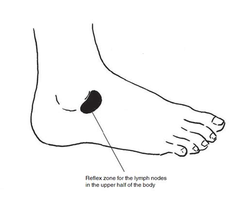 Lymph Node On Top Of Foot Online