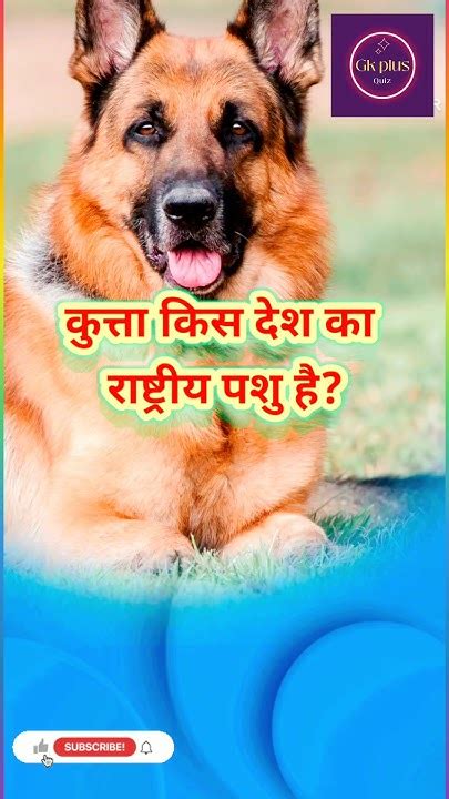 कुत्ता किस देश का राष्ट्रीय पशु हैshortsviralgeneral Knowledge Quiz