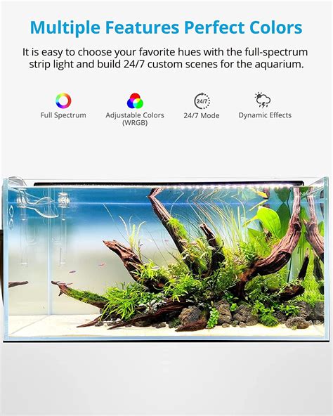 NICREW RGB W 24 7 LED Aquarium Light Full Spectrum Planted Fish Tank