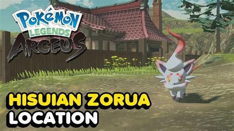 How To Get Hisuian Zorua In Pokemon Legends Arceus Zorua Location