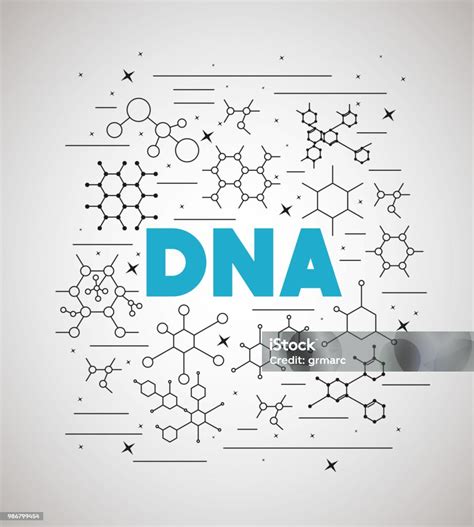 Dna Molecule Structure Set Stock Illustration - Download Image Now ...