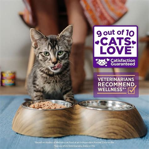 Aldi Cat Food: Purr-fect Nutrition for Your Feline Friend