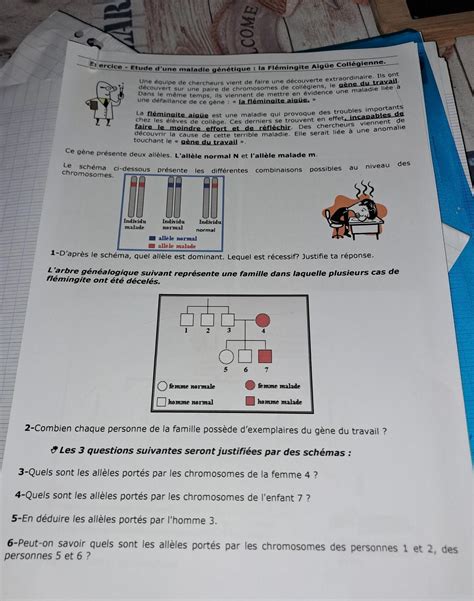 Bonjour Jai Un Exercice A Faire En Svt Mais Je Comprends Rien Pouvez