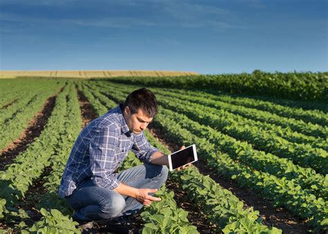 O engenheiro agrônomo e suas perspectivas no agronegócio