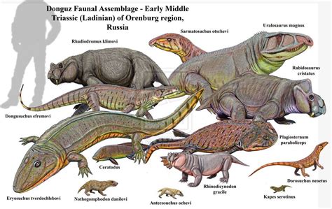 Donguz Middle Triassic Fauna By Dibgd Extinct Animals Prehistoric