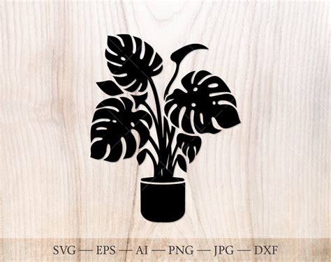 Monstera In A Pot Svg Monstera Plant Svg Monstera Svg Cut File