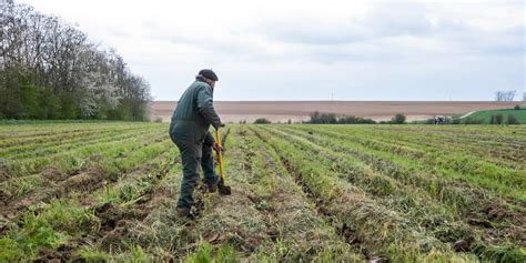 Agriculture Que Contient Le Projet De Loi Dorientation Agricole