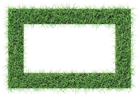 Premium Photo Grass Frame Design Element Isolated