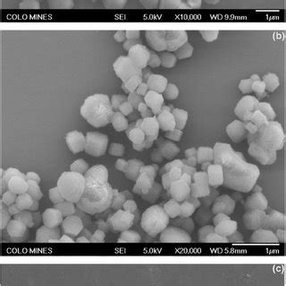 Representative SEM Images Of A Cu MOF B Al MOF And C Ga MOF