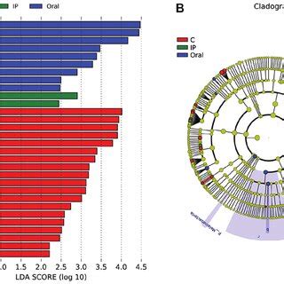 Microbial Biomarkers Among The Different Groups A Linear