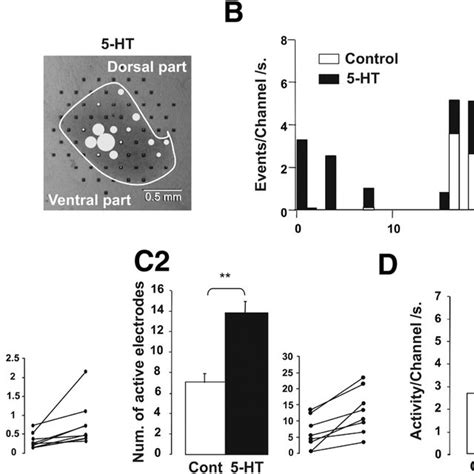 5 Hydroxytryptamine 5 Ht Serotonin Increases The Intrinsic Activity