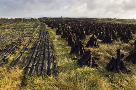 About Irish Peat | Peat, Irish landscape, Turf