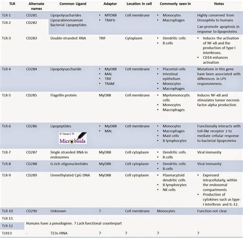 Medical Microbiology Toll Like Receptors