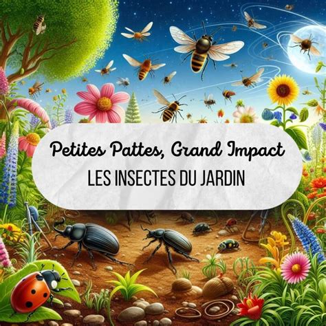 Petites Pattes Grand Impact Insectes M Connus De Nos Jardins