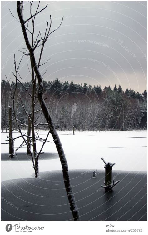 Stille Umwelt Natur Ein Lizenzfreies Stock Foto Von Photocase