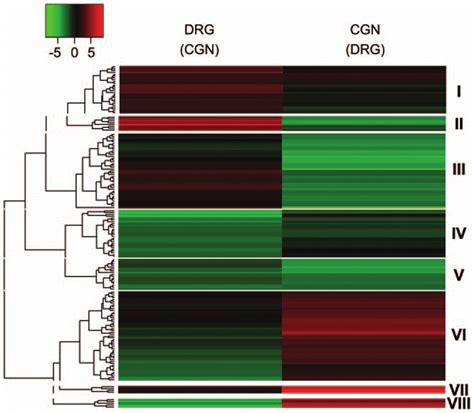 Hierarchical Clustering Of Mirna Target Sites In The Utrs Of