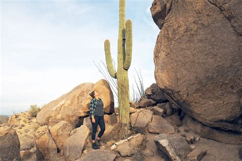 Im Land der Riesenkakteen Reisetipps für den Saguaro Nationalpark