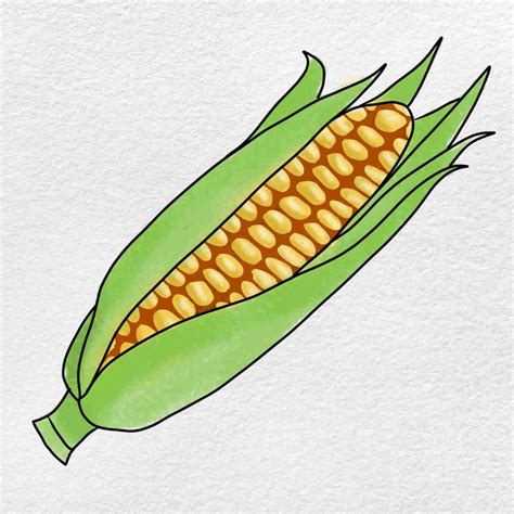 How To Draw A Piece Of Corn How To Draw Corn Step By Step Very Easy