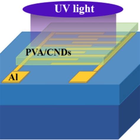 The Schematic Diagram Of The Msm Structured Photodetector Download