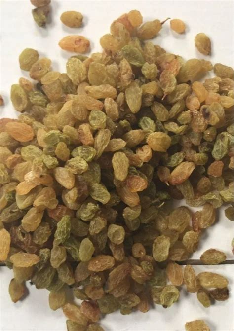 Mm Natural Dried Raisin At Rs Kg Dried Kishmish In Solapur Id