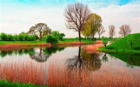 Download Green Water Reflection Tree Nature River HD Wallpaper