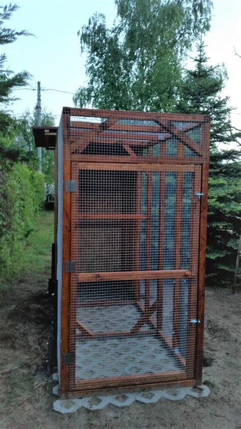 10 Outdoor Walk-In Aviary Ideas and DIY Plans