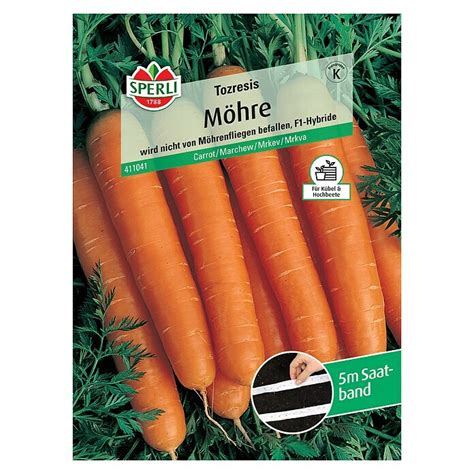 Sperli Gem Sesamen M Hre Tozresis Saatband Daucus Carota Erntezeit