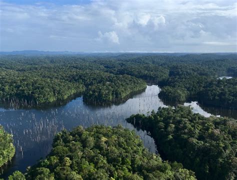 Découvre La Guyane Forêt Amazonie Terres Nature Yana J