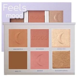 Paleta Pó Blush e Iluminador para Contorno Feels Mood Ruby Rose