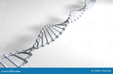 Silver DNA Stock Illustration Illustration Of Genomes 1166954