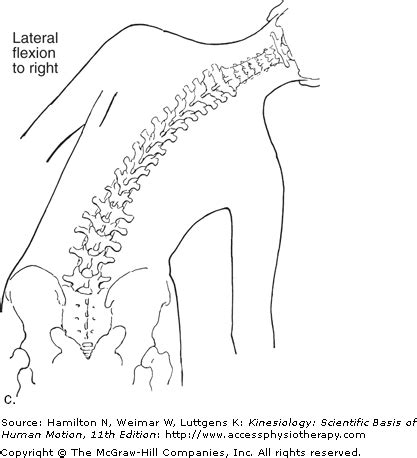 Running Movement Impairments: Lateral Trunk Lean - DOCTORS OF RUNNING