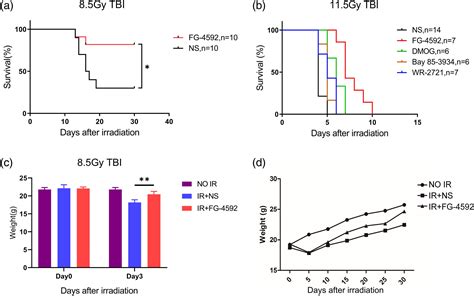 Fg Protected Haematopoietic System From Ionising Radiation In Mice