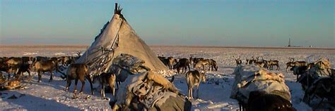 Tundra Land Am Rande Des Eises Wfw Film