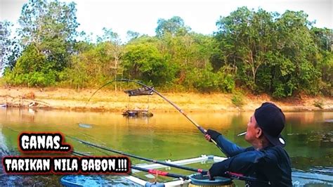 Mancing Nila Liar Dilokasi Ini Tarikan Nya Ganas Ganas Bunglai Riam