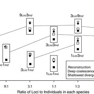 Species tree accuracy with different methods of reconstruction and ... 