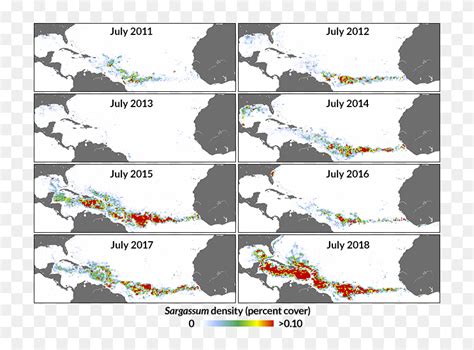 Current Sargassum Map