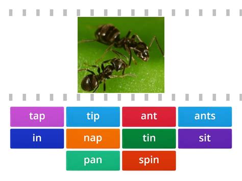 jolly phonics satpin find  match