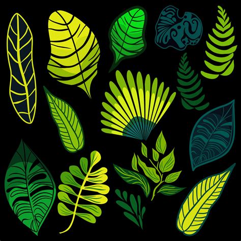 Set of tropical rainforest plants 21924138 Vector Art at Vecteezy