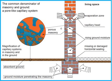 Rising Damp And Penetrating Damp