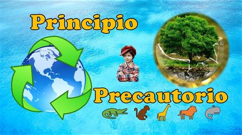 Qu Es El Principio Precautorio Youtube