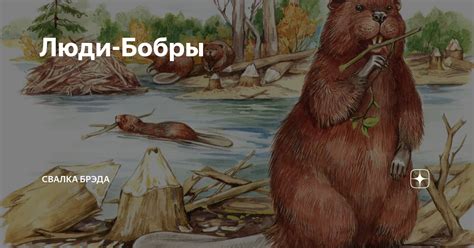 Картинка бобровое утро (43 фото)