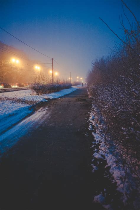 Мгла | Пикабу