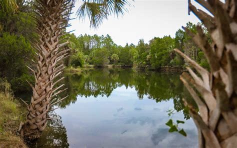 Crystal River Preserve State Park Outdoor Project