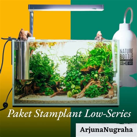 Jual Paket Stamplant Low Series Paket Tanaman Pemula Aquascape